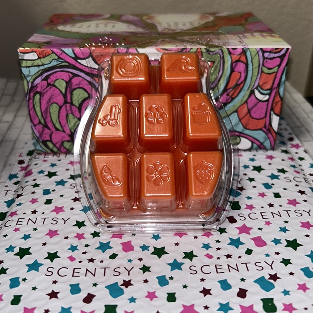 2 Wax Bars - Forever Fall Scentsy Wax Bars - Picture 2 of 2